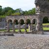 Mellifont Abbey