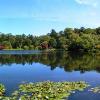 Mount Stewarts House & Gardens