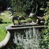 Mount Stewarts House & Gardens