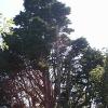 Mount Stewarts House & Gardens