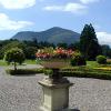 Muckross House & Garden