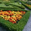 Muckross House & Garden