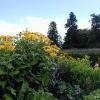 Powerscourt House & Gardens