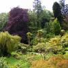 Powerscourt House & Gardens