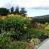 Powerscourt House & Gardens
