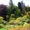 Powerscourt House & Gardens