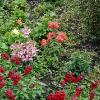 Roscrea Castle & Garden