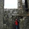 Ross Errilly Friary