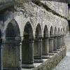 Ross Errilly Friary