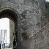 Trim Castle