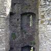 Trim Castle