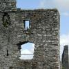 Trim Castle