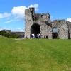 Trim Castle