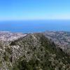 Calamorro