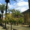 Córdoba