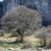 El Torcal