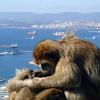 Gibraltar