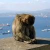 Gibraltar