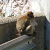Gibraltar