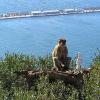 Gibraltar