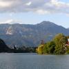Bled
