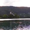 Bled