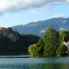 Bled
