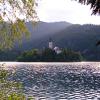 Bled