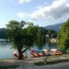 Bled