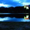 Bled