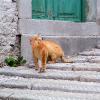 Labin