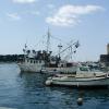 Rovinj