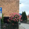 Samobor