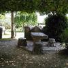 Solin