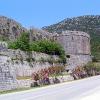Ston