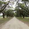 Boonehall Plantation