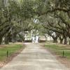 Boonehall Plantation