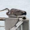 Fort Walton Beach