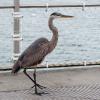 Fort Walton Beach