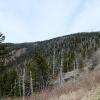 Great Smoky Mountains National Park