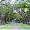 Oak Alley Plantation