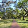 Oak Alley Plantation