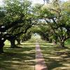 Oak Alley Plantation