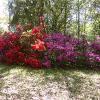 Rosemont Plantation