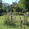 Rosemont Plantation