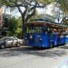 Savannah