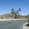 Joshua Tree National Park