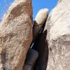Joshua Tree National Park