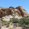 Joshua Tree National Park