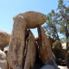 Joshua Tree National Park